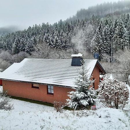 Ferienhaus Becker Villa Willingen  Exterior photo