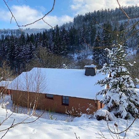 Ferienhaus Becker Villa Willingen  Exterior photo